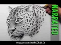 How to Draw a Leopard Narrated Step by Step