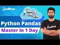 Python Pandas Tutorial Pandas Python Intellipaat