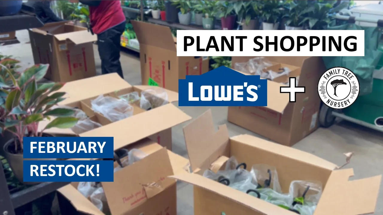 Lowe’s February Plant Restock + Clearance! Plant Shopping at Lowe’s & Family Tree Nursery