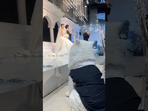 Girl Took Her Dog With Her 🥰