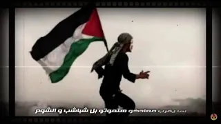 مهرجان نفديكي  يا فلسطين نار حمو بيكا ونور توت دندنها