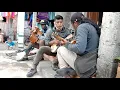 Tertonadi - pengamen keroncong