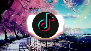 Download Kimi No Toriko Tiktok Viral Remix 2020 MP3