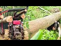 Download Lagu Agricultural truck transporting timber and the unlucky logging girl#agricultural#truck#timbertruck.