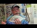 HOW-TO Kill & Bleed Fish FAST & HUMANELY For Tastier Meals!