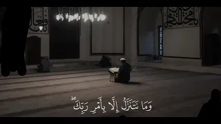 عايزه اوصل ١٠٠٠ مشترك بيكم دندنها