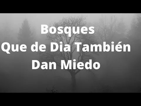 12 Bosques Que De Día También Dan Miedo