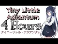 Download Lagu Tiny Little Adiantum 4 Hours loop