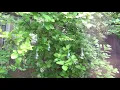 glass dew drops - Video 4 of 1