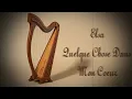 Elsa - Quelque Chose Dans Mon Coeur | Harp Cover