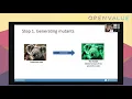 Mutants to the rescue How effective are your unit tests by Paco van Beckhoven