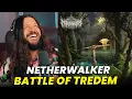 Download Lagu METALBIRB Reacts Netherwalker \