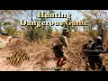 Download Lagu Cape Buffalo, BLACK MAMBAS and GIANT Crocs with Dalton \u0026 York Safaris!!!