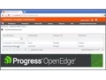 Loading data definitions and table contents into a Progress OpenEdge multi tenant database