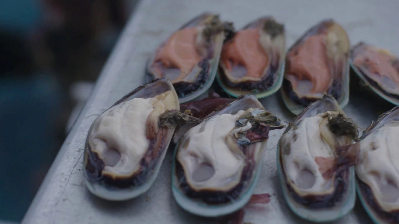 Outline Video Love Mussels - SPATnz Story (Sanford)