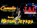 FULL ALBUM CAMELIA MAYONG #PART2