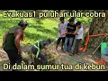 Download Lagu MENEGANGK4N TERJADI LAGI PROSES EVAKUAS1 PULUHAN ULAR COBRA DI DALAM SUMUR WARGA PADA HERAN