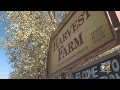 The Harvest Farm Helps Addicts In Recovery