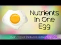 How Many Calories Fat Carbs Protein in an Egg