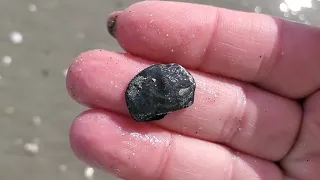 Super Shells Springmaid Pier Shelling at Low Tide Myrtle Beach SC