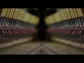 Bruno Bavota - The Day That You Forgot (Official Video)