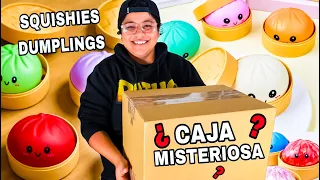 ABRIMOS LA CAJA SECRETA Y MISTERIOSA DE LOS SQUISHIES DE DUMPLINGS VIRALES 📦❓| Patho