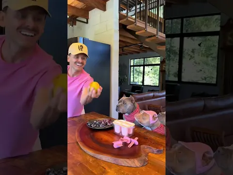 soy el perro cerezo dual más grande y guapo? #viral #perros #perrofeliz #dúo