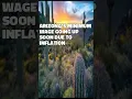 Arizona New 2025 Minimum Wage Increase