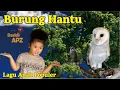 Download Lagu Lagu Anak Burung Hantu | Hits Dan Populer Sepanjang Masa | Lagu Anak Indonesia