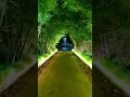 Download Lagu 🌙 Night Walk at Chinese Garden Singapore | Chinna Chinna Vanna Kuyil | Mouna Ragam | Ilaiyaraaja ❤️