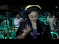 Lagu FULL TAYUB MALAM JARUM JADI NYI KARNIATI,NYI MURSIATI,NYI HENIK \u0026 NYI FITRI || KARTIKO BUDOYO