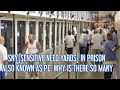 SNY SENSITIVE NEEDS YARD IN PRISON ALSO KNOWN AS PROTECTIVE CUSTODY WHY IS THERE SO MANY