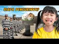 Lagu MENEMUKAN PENCURI KUCING ALETHA ABEW