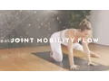 Joint Mobility Flow with Miki Ash