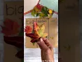 Size Sorting and classifying