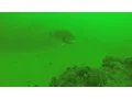 More Full Moon Friday the 13th Sea Girt Reef