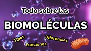 TODO sobre las BIOMOLÉCULAS 🧬📚 Tipos, funciones, ejemplos
