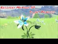 Zelda Breath Of the Wild Recovery Memory 9 Location - Silent Princess