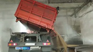 В Омской области намерены построить новый линейный элеватор для зерна
