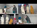 Download Lagu ਰੱਬ ਦਾ ਭਾਣਾ ਭਾਗ-੪੩ Rab da bhana part-43 #thepunjab #sadapunjab #pannutvv #riartv