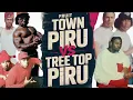 Fruit Town Piru vs Tree Top Piru the Crips A Deadly War