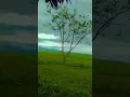 Download Lagu Weather ☁️ #shorts #viral