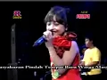 New pallapa - terima kalah - tasya 