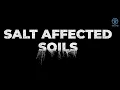 Salt-affected soils discovering a missed reality