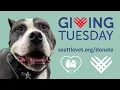 Giving Tuesday 2021