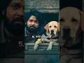 Download Lagu Top 10 High Rated Indian Movies In IMDB 🤩 #shorts #imdb