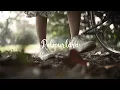 Download Lagu PELIPURLARA - PENAWAR LUKA ( OFFICIAL MUSIC VIDEO )