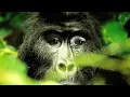 Shake It- Metro Station OFFICIAL MUSIC VIDEO
