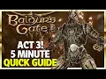 How To Disable The Steel Watch in Baldur s Gate 3