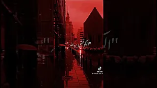 حاله واتس جامده  جينا في وقت نغنغا    دندنها